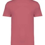 Native Spirit Unisex Heavyweight T-Shirt