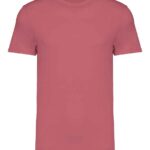 Native Spirit Unisex Heavyweight T-Shirt