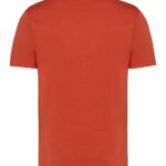 Native Spirit Unisex Heavyweight T-Shirt