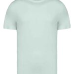 Native Spirit Unisex Heavyweight T-Shirt