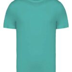 Native Spirit Unisex Heavyweight T-Shirt