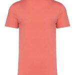 Native Spirit Unisex Heavyweight T-Shirt