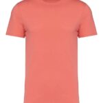 Native Spirit Unisex Heavyweight T-Shirt