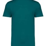 Native Spirit Unisex Heavyweight T-Shirt