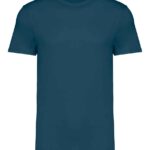 Native Spirit Unisex Heavyweight T-Shirt