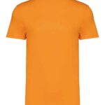 Native Spirit Unisex Heavyweight T-Shirt