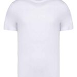 Native Spirit Unisex Heavyweight T-Shirt